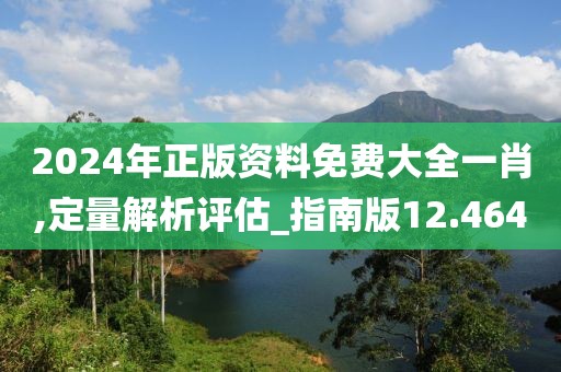 2024年正版资料免费大全一肖,定量解析评估_指南版12.464