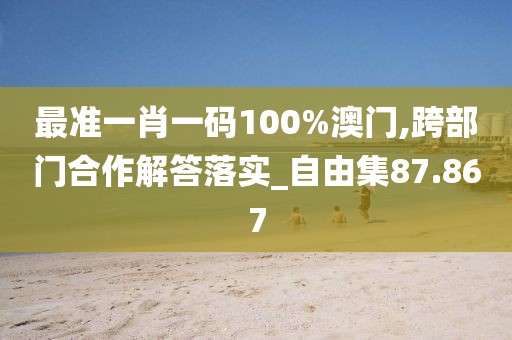 最准一肖一码100%澳门,跨部门合作解答落实_自由集87.867
