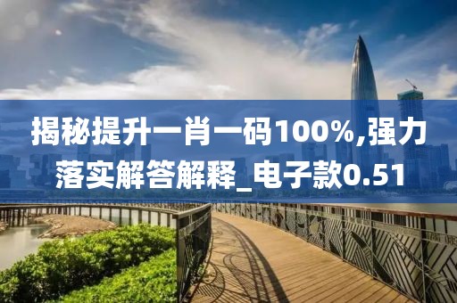揭秘提升一肖一码100%,强力落实解答解释_电子款0.51