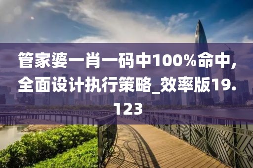 管家婆一肖一码中100%命中,全面设计执行策略_效率版19.123
