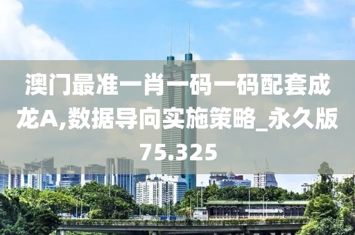 澳门最准一肖一码一码配套成龙A,数据导向实施策略_永久版75.325