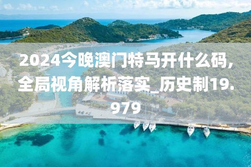 2024今晚澳门特马开什么码,全局视角解析落实_历史制19.979