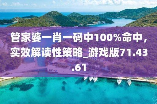 管家婆一肖一码中100%命中，实效解读性策略_游戏版71.43.61