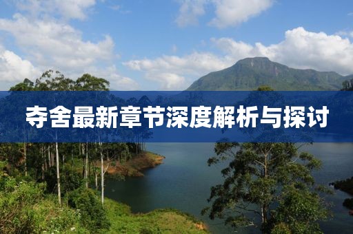 夺舍最新章节深度解析与探讨