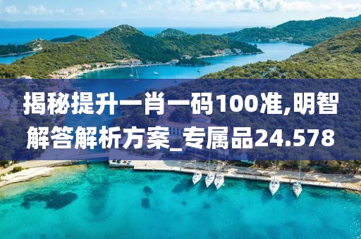 揭秘提升一肖一码100准,明智解答解析方案_专属品24.578