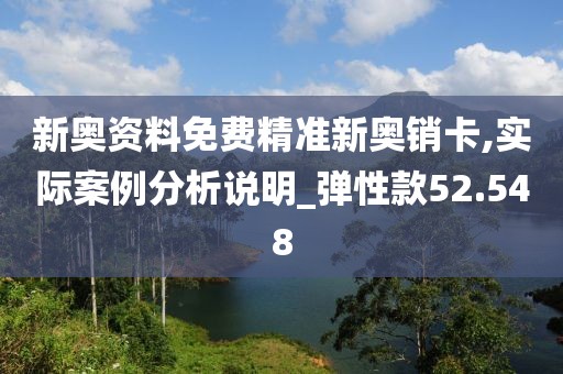 新奥资料免费精准新奥销卡,实际案例分析说明_弹性款52.548