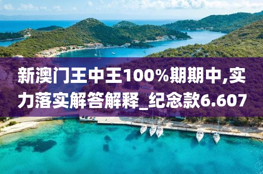 新澳门王中王100%期期中,实力落实解答解释_纪念款6.607