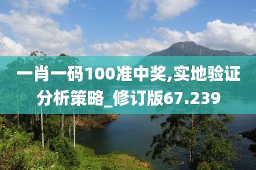 一肖一码100准中奖,实地验证分析策略_修订版67.239