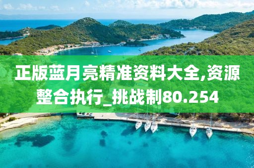 正版蓝月亮精准资料大全,资源整合执行_挑战制80.254