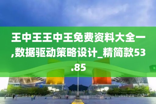 王中王王中王免费资料大全一,数据驱动策略设计_精简款53.85