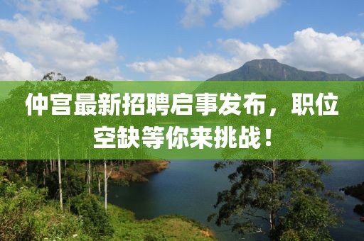 两把枪闯天下 第58页
