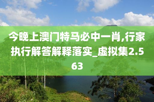今晚上澳门特马必中一肖,行家执行解答解释落实_虚拟集2.563