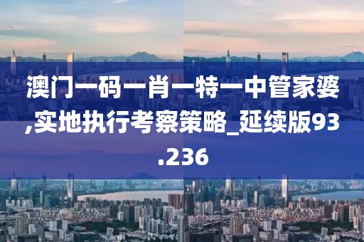 澳门一码一肖一特一中管家婆,实地执行考察策略_延续版93.236