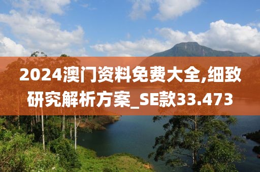 2024澳门资料免费大全,细致研究解析方案_SE款33.473