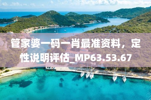 管家婆一码一肖最准资料，定性说明评估_MP63.53.67