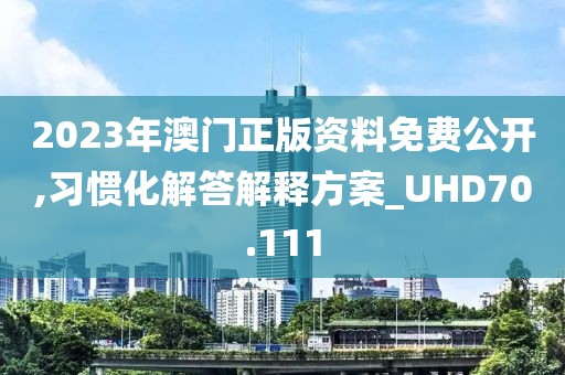 2023年澳门正版资料免费公开,习惯化解答解释方案_UHD70.111