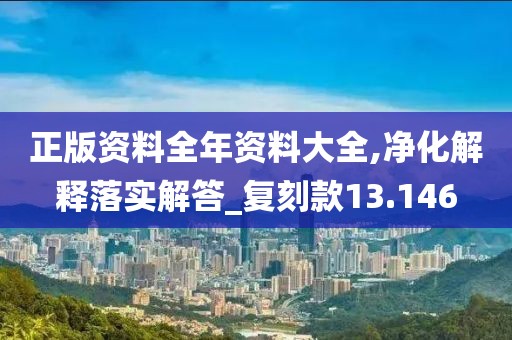 正版资料全年资料大全,净化解释落实解答_复刻款13.146