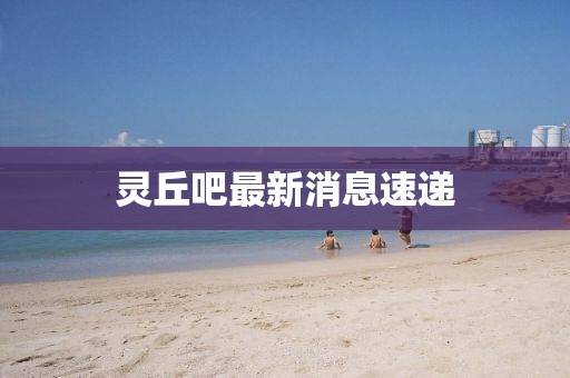 灵丘吧最新消息速递