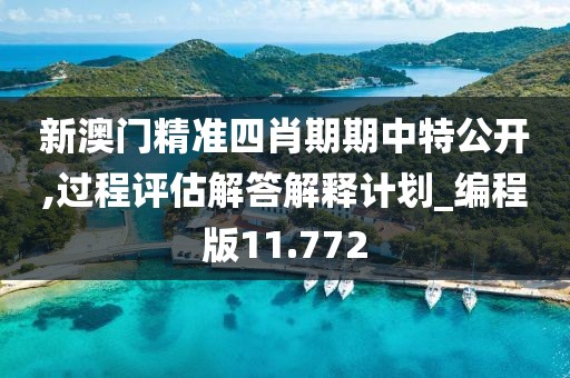 新澳门精准四肖期期中特公开,过程评估解答解释计划_编程版11.772