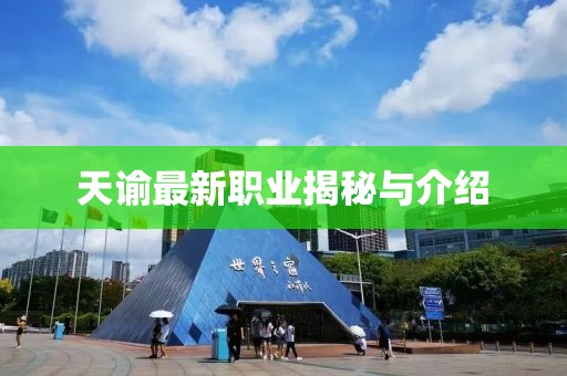 天谕最新职业揭秘与介绍