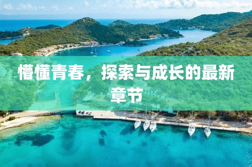 懵懂青春，探索与成长的最新章节