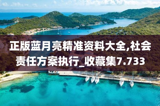 正版蓝月亮精准资料大全,社会责任方案执行_收藏集7.733
