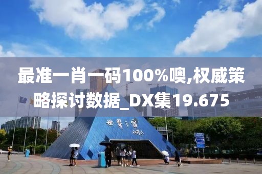 最准一肖一码100%噢,权威策略探讨数据_DX集19.675
