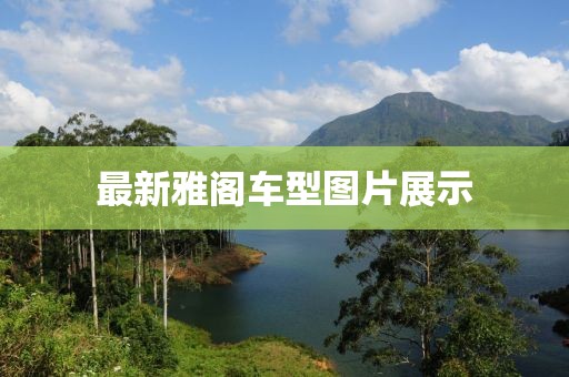 最新雅阁车型图片展示