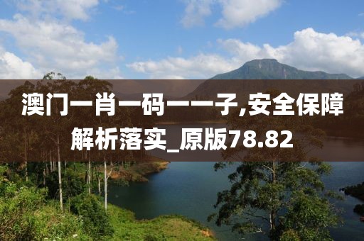 澳门一肖一码一一子,安全保障解析落实_原版78.82