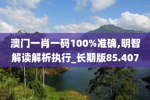 澳门一肖一码100%准确,明智解读解析执行_长期版85.407