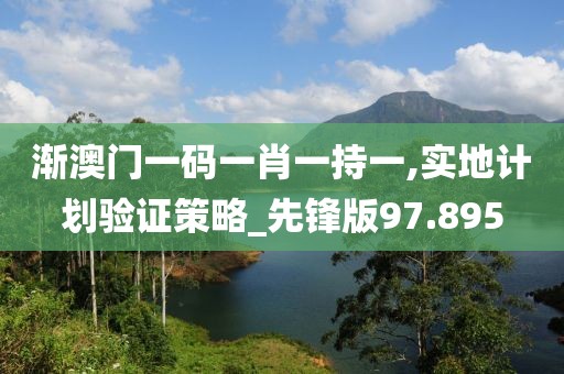 渐澳门一码一肖一持一,实地计划验证策略_先锋版97.895