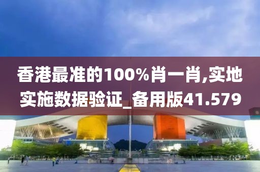 香港最准的100%肖一肖,实地实施数据验证_备用版41.579