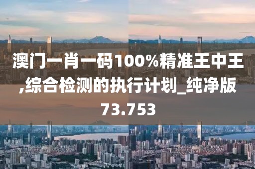 澳门一肖一码100%精准王中王,综合检测的执行计划_纯净版73.753