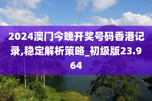 2024澳门今晚开奖号码香港记录,稳定解析策略_初级版23.964