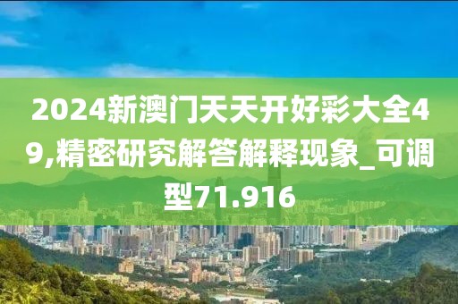 2024新澳门天天开好彩大全49,精密研究解答解释现象_可调型71.916