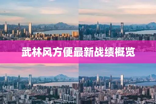 武林风方便最新战绩概览