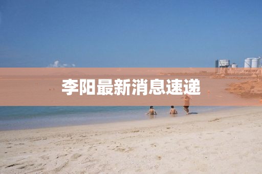 李阳最新消息速递