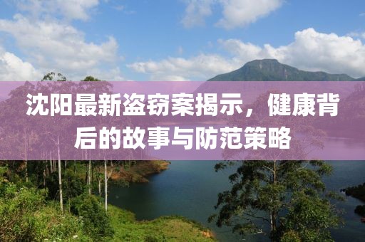 沈阳最新盗窃案揭示，健康背后的故事与防范策略