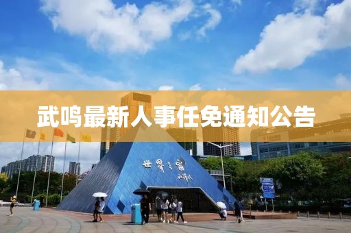 武鸣最新人事任免通知公告