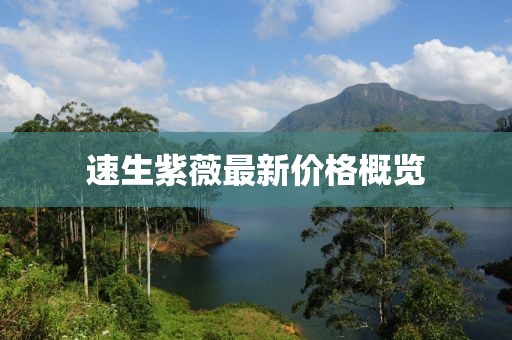 速生紫薇最新价格概览