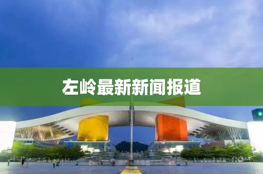 左岭最新新闻报道