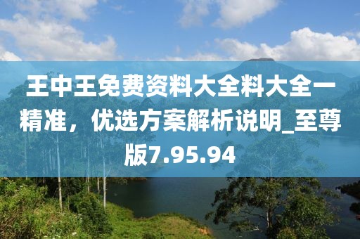 王中王免费资料大全料大全一精准，优选方案解析说明_至尊版7.95.94