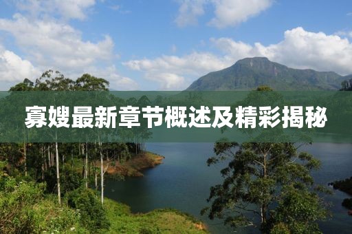 寡嫂最新章节概述及精彩揭秘