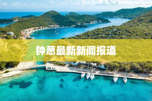 钟葱最新新闻报道