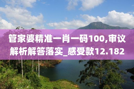 管家婆精准一肖一码100,审议解析解答落实_感受款12.182