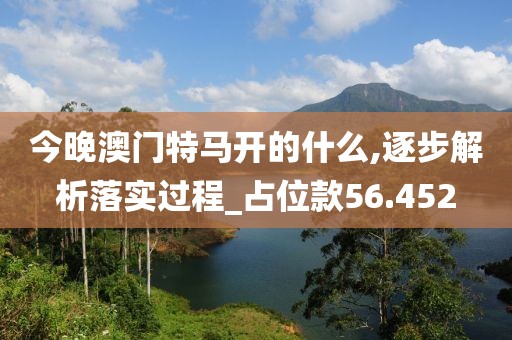 今晚澳门特马开的什么,逐步解析落实过程_占位款56.452