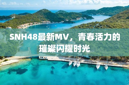 两把枪闯天下 第56页