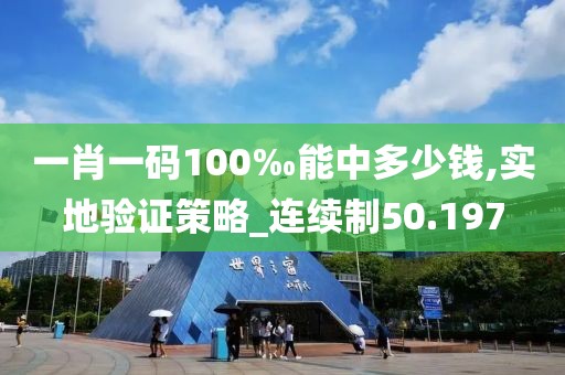 一肖一码100‰能中多少钱,实地验证策略_连续制50.197