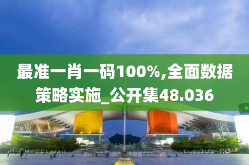 最准一肖一码100%,全面数据策略实施_公开集48.036