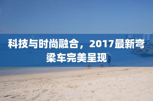 科技与时尚融合，2017最新弯梁车完美呈现